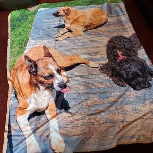 Meet your Posher, Dolores